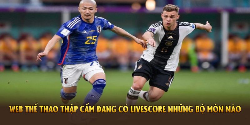 Web thể thao Thập Cẩm đang có Livescore những bộ môn nào